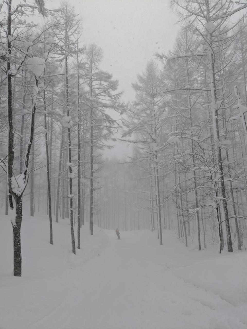 Raicho Lodge Madarao Iiyama Eksteriør billede